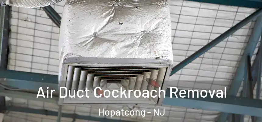  Air Duct Cockroach Removal Hopatcong - NJ