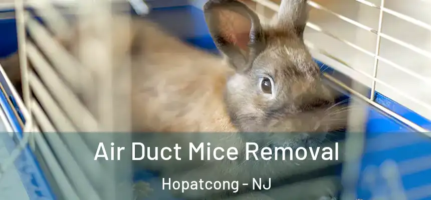  Air Duct Mice Removal Hopatcong - NJ