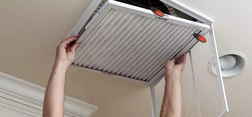 Preventive Cockroach-Proofing for Ducts in Hopatcong