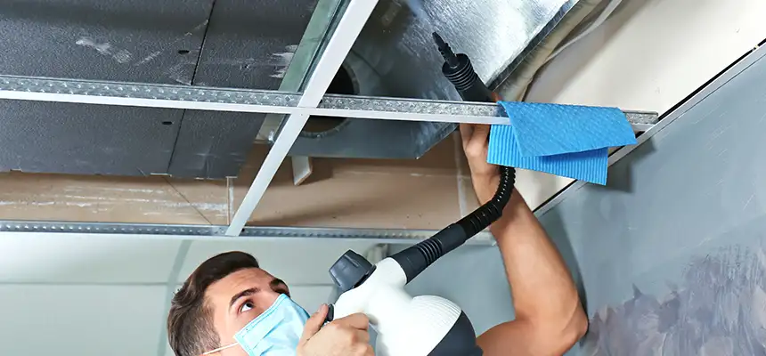 Our Air Duct Rodent Removal Services in Hopatcong, NJ