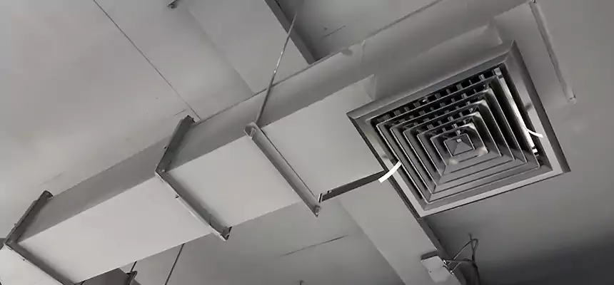 Our Rodent Droppings In Vents Services in Hopatcong, NJ