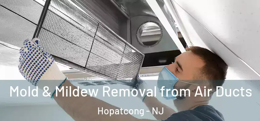  Mold & Mildew Removal from Air Ducts Hopatcong - NJ