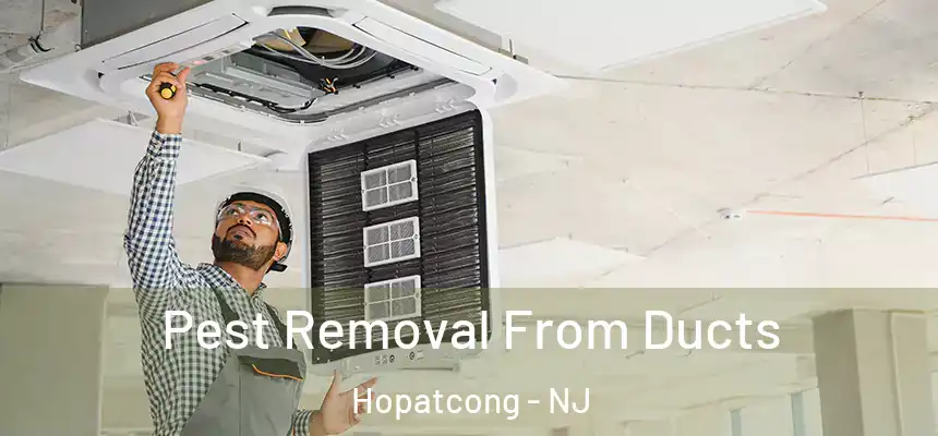  Pest Removal From Ducts Hopatcong - NJ