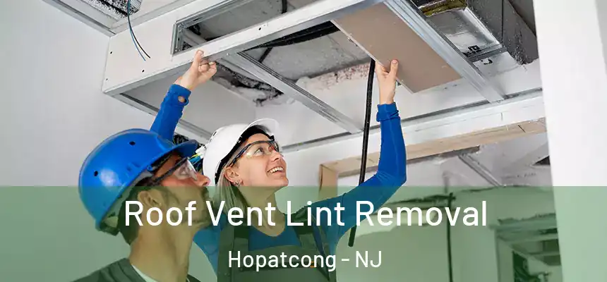  Roof Vent Lint Removal Hopatcong - NJ
