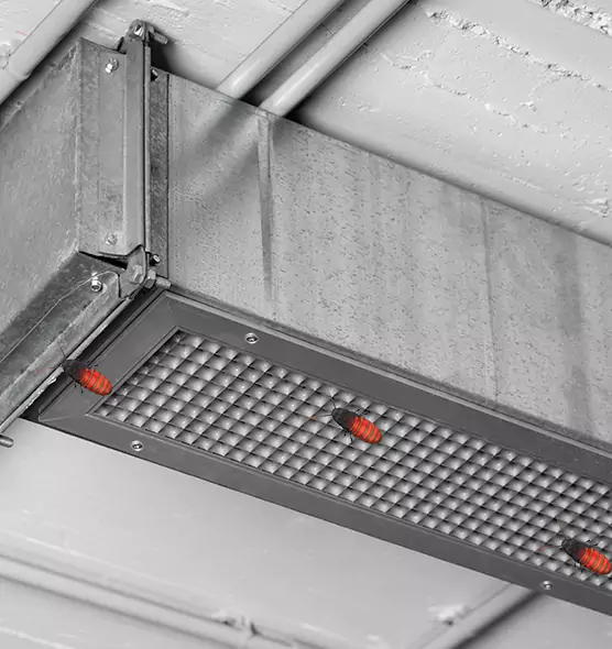 Affordable Insect Removal from Air Ducts in Hopatcong, NJ
