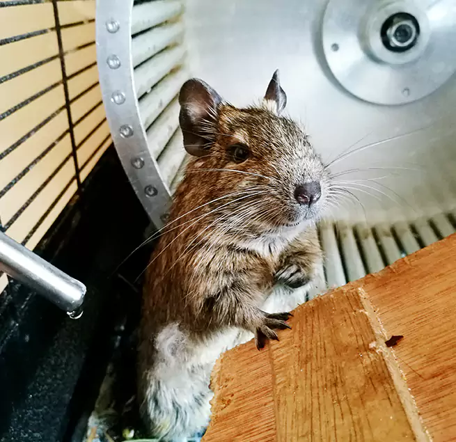 Why Homeowners & Businesses Trust Us Hopatcong, NJ?